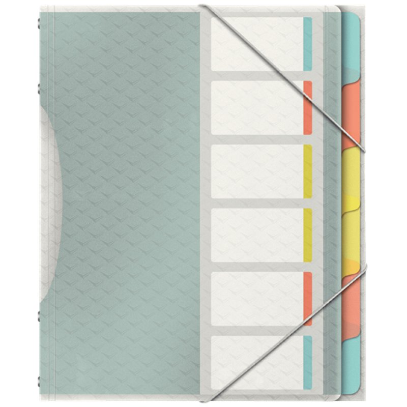 Esselte 626255 tab index Blank tab index Polypropylene (PP) Multicolour