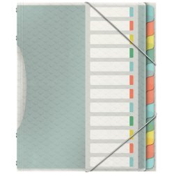 Esselte 626256 intercalaire de classement Onglet avec index vierge Polypropylène (PP) Multicolore