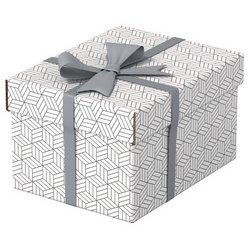 Esselte Boîte de rangement et cadeau Home S, set de 3, gris