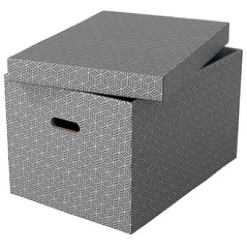 Esselte Boîte de rangement Home M, set de 3, gris