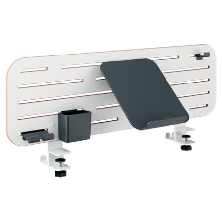 Leitz 65490000 bac de rangement de bureau Panneaux MDF, Plastique recyclé Blanc