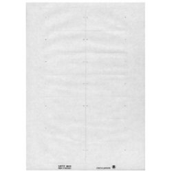 LEITZ Blanko-Beschriftungsschildchen, PC-beschriftbar, weiß