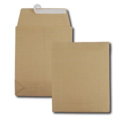 GPV France 4998 enveloppe Marron 50 pièce(s)