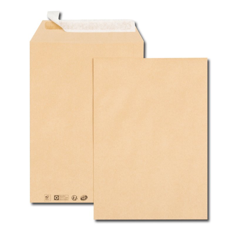 GPV France 6282 enveloppe Marron 10 pièce(s)