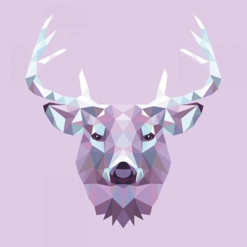 Maped Creativ 907055 decorative sticker Multicolour 500 pc(s)