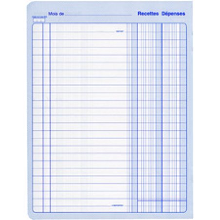 ELVE Piqûre "Recettes/Dépenses", 80 pages, 297 x 210 mm