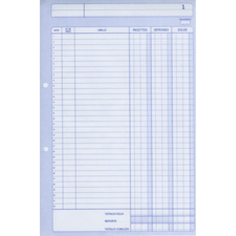 ELVE Manifold "Recettes / Dépenses", A4, dupli, 50 feuillets