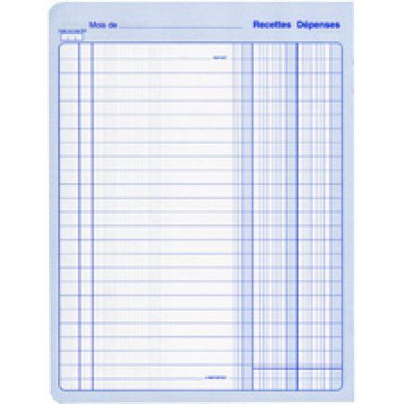 ELVE Cahier piqué "Recettes - Dépenses", 220 x 170 mm