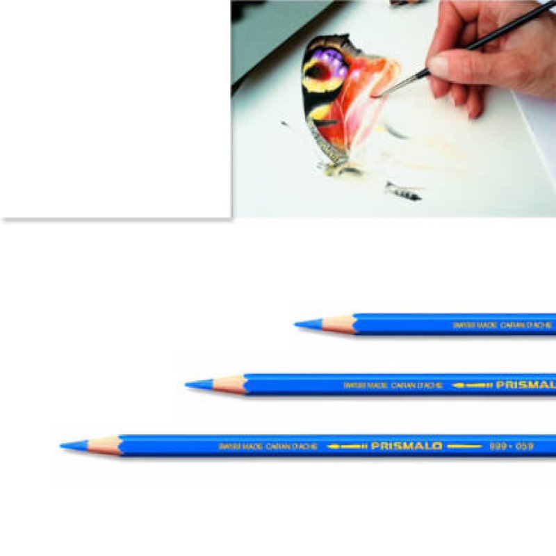 Artexport ME7610186842917 crayon de couleur Blanc