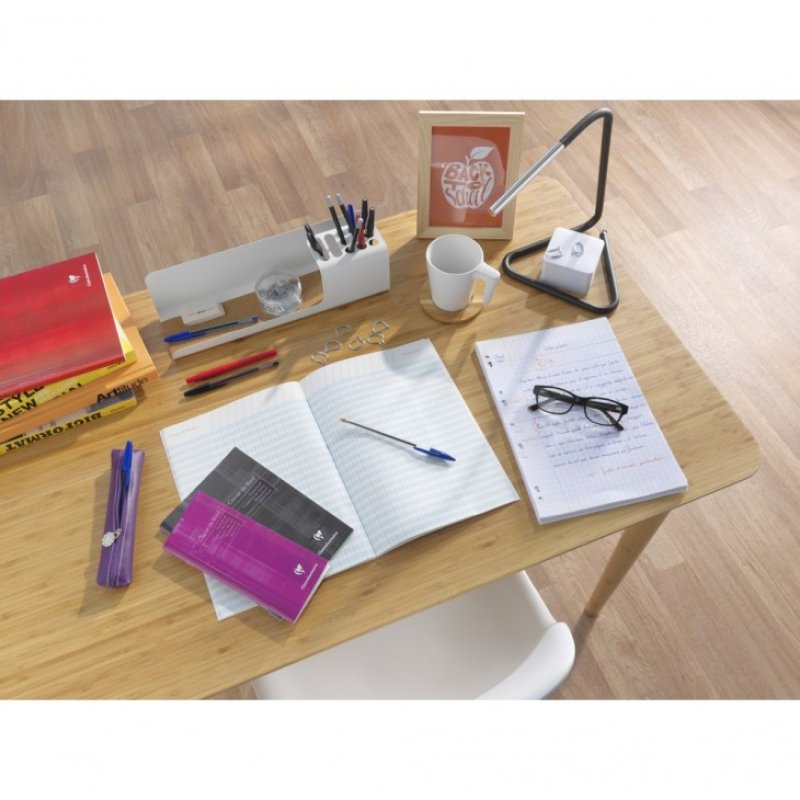 Clairefontaine Carnet de bord pour enseignant, 85 x 200 mm
