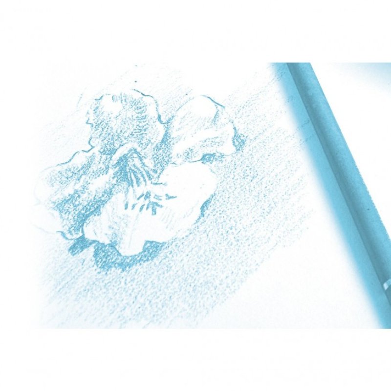 Clairefontaine 96628C art paper 30 sheets