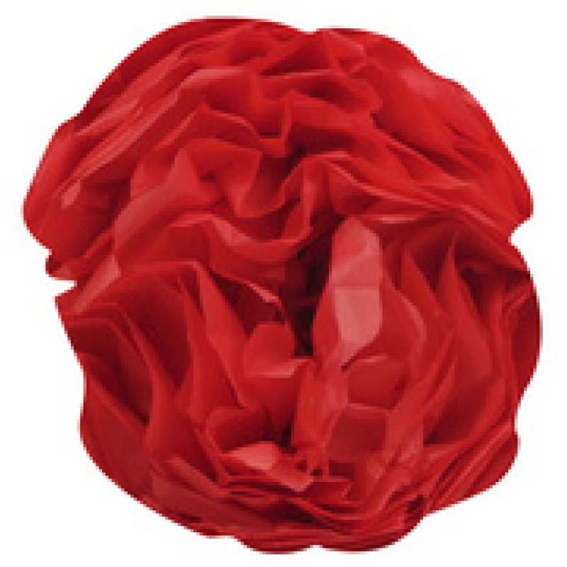 Clairefontaine Papier de soie, (l)500 x (H)750 mm, rouge