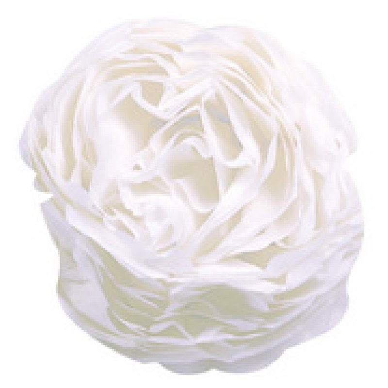 Clairefontaine Papier de soie, (l)500 x (H)750 mm,vert pomme