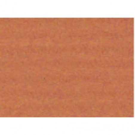 Clairefontaine 3065503049588 art paper 1 sheets