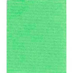 Clairefontaine Papier cadeau "kraft", vert bourgeon