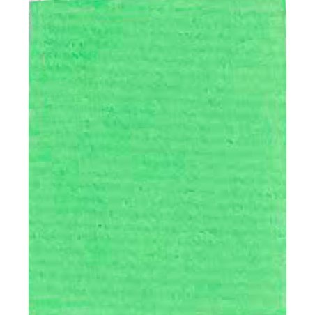 Clairefontaine Papier cadeau "kraft", vert bourgeon
