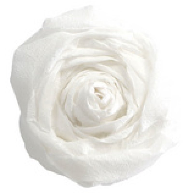 Clairefontaine Papier crépon, rose saumon