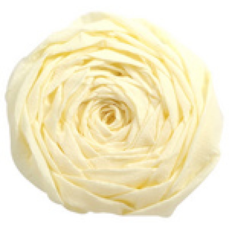 Clairefontaine Papier crépon, rose saumon