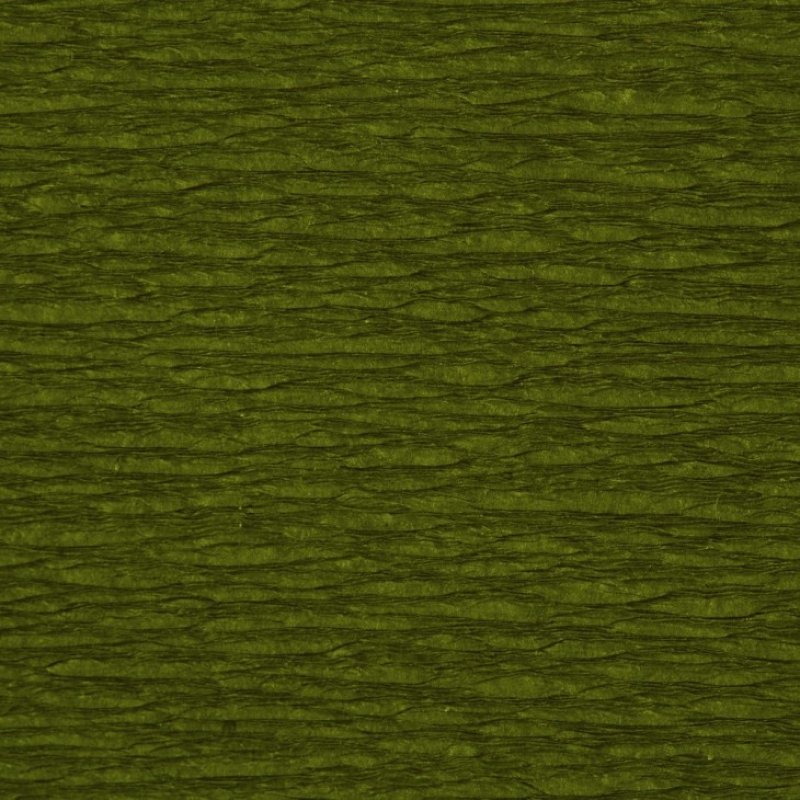 Clairefontaine Papier crépon, vert mousse