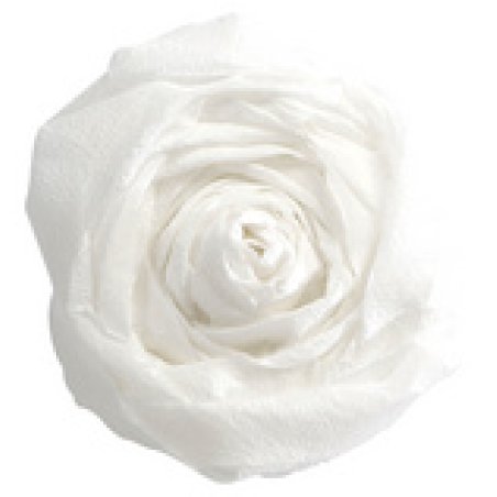 Clairefontaine Papier crépon, rose moyen