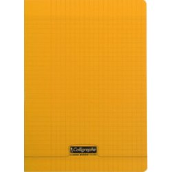 Calligraphe Cahier 8000 POLYPRO, 240 x 320 mm, vert