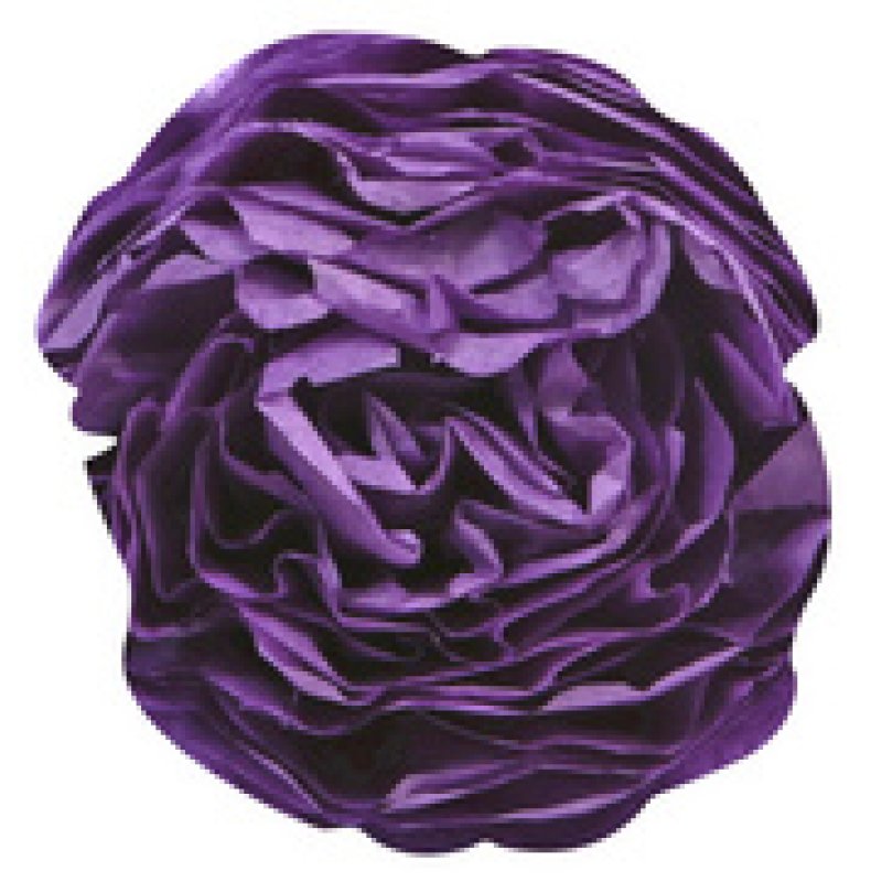 Clairefontaine Papier de soie, (l)500 x (H)750 mm, violet