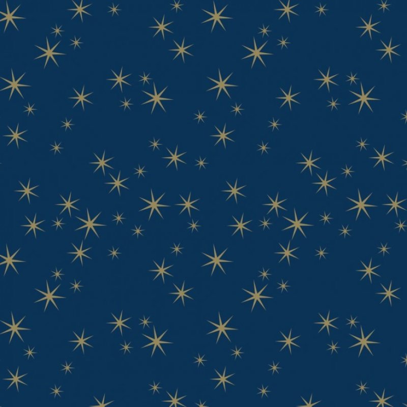 Clairefontaine Papier cadeau de Noël "Etoiles"