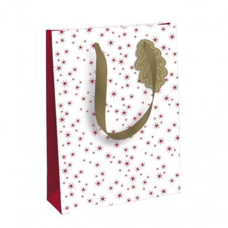 Clairefontaine X-29508-2C paper bag Multicolour