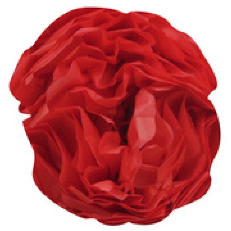 Clairefontaine Papier de soie, (l)500 x (H)750 mm, vert