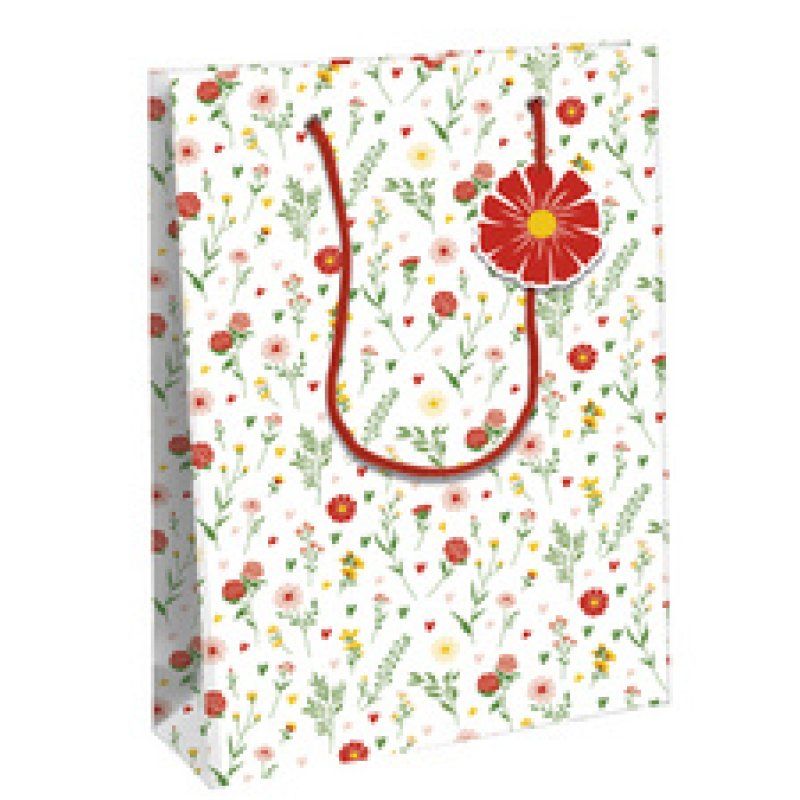 Clairefontaine Sac cadeau "Amore", large