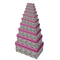 Clairefontaine Set de boîtes cadeau "Léopard", 10 pièces