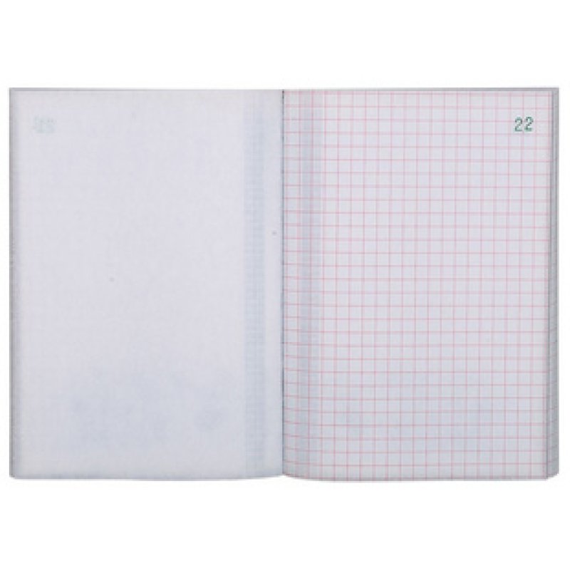 EXACOMPTA Manifold "Quadrillé", 148 x 105 mm, dupli