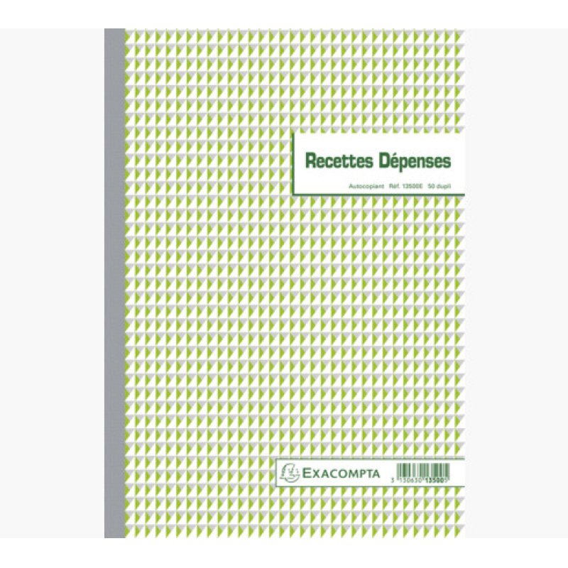 EXACOMPTA Manifold "Recettes et Dépenses", 297 x 210 mm
