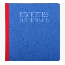 EXACOMPTA Piqûre "Recettes et dépenses", 210 x 190 mm