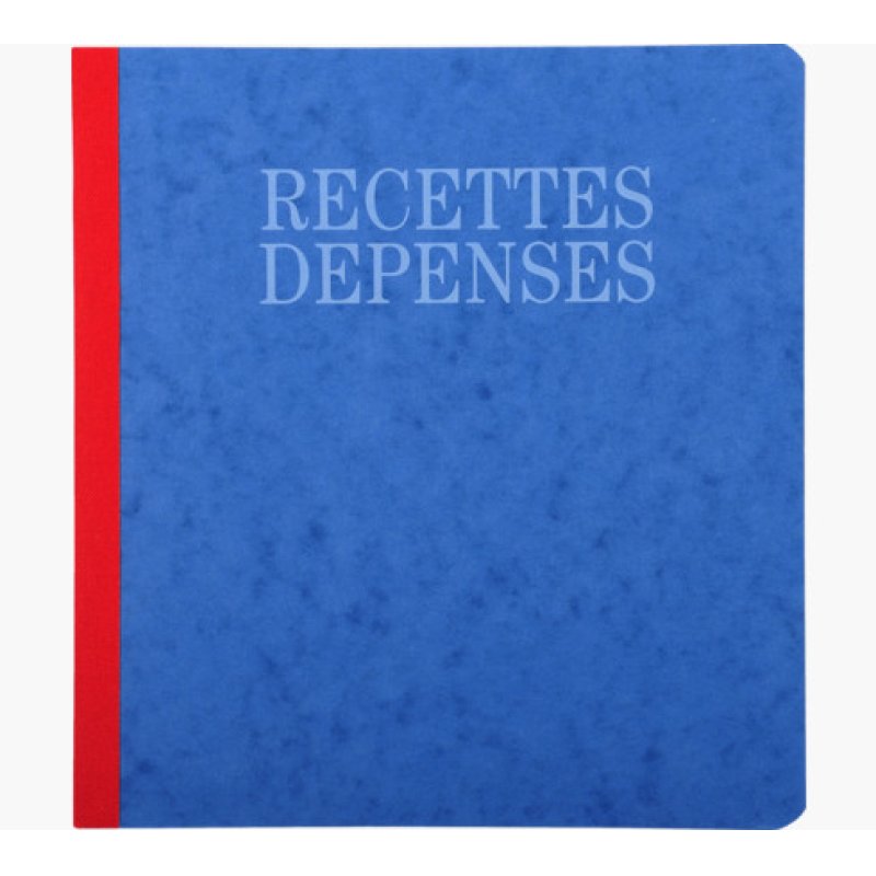 EXACOMPTA Piqûre "Recettes et dépenses", 210 x 190 mm