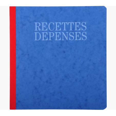 EXACOMPTA Piqûre "Recettes et dépenses", 210 x 190 mm