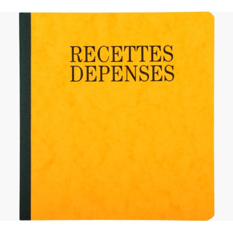 EXACOMPTA Piqûre "Recettes et dépenses", 210 x 190 mm
