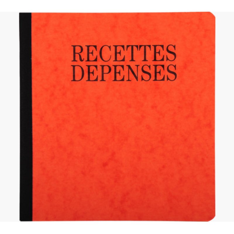 EXACOMPTA Piqûre "Recettes et dépenses", 210 x 190 mm