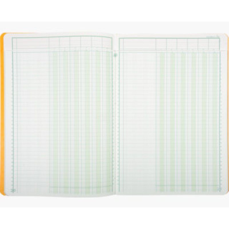 Exacompta 17060E business form