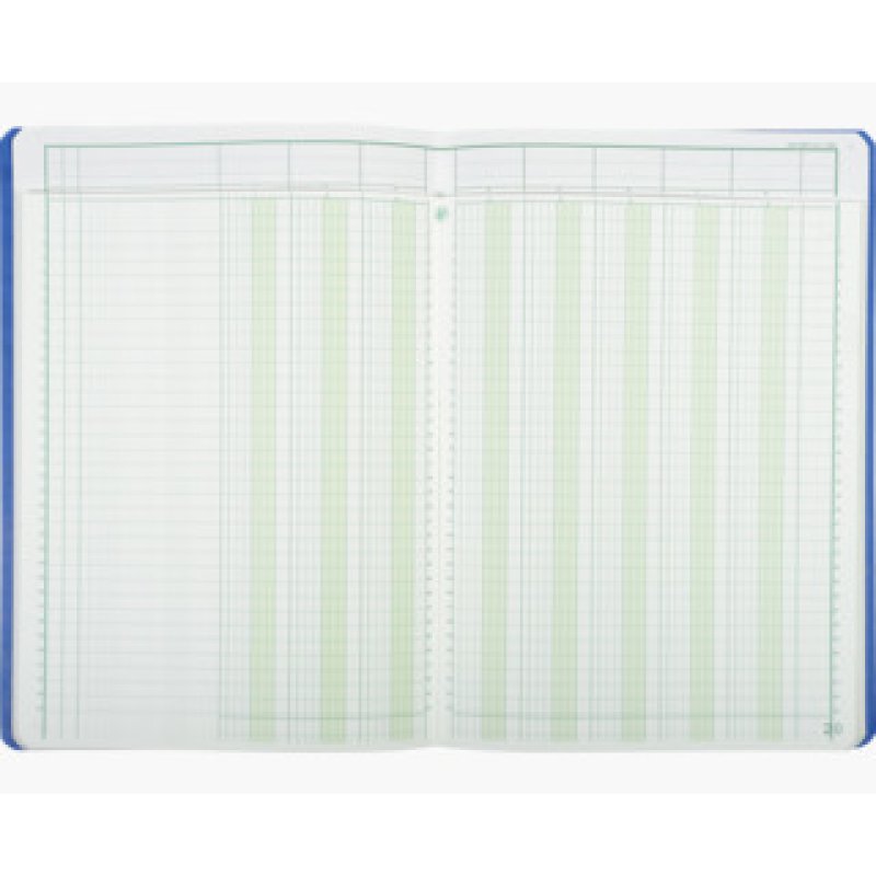 EXACOMPTA Piqûre tête paresseuse, 8 colonnes sur 2 pages