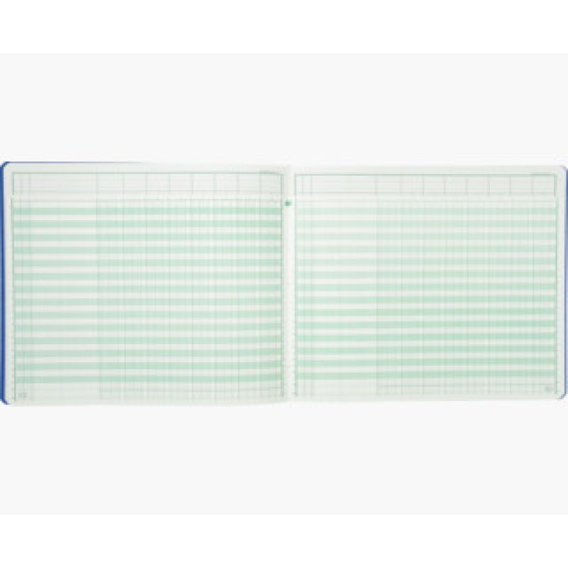 EXACOMPTA Piqûre tête paresseuse, 8 colonnes sur 1 page