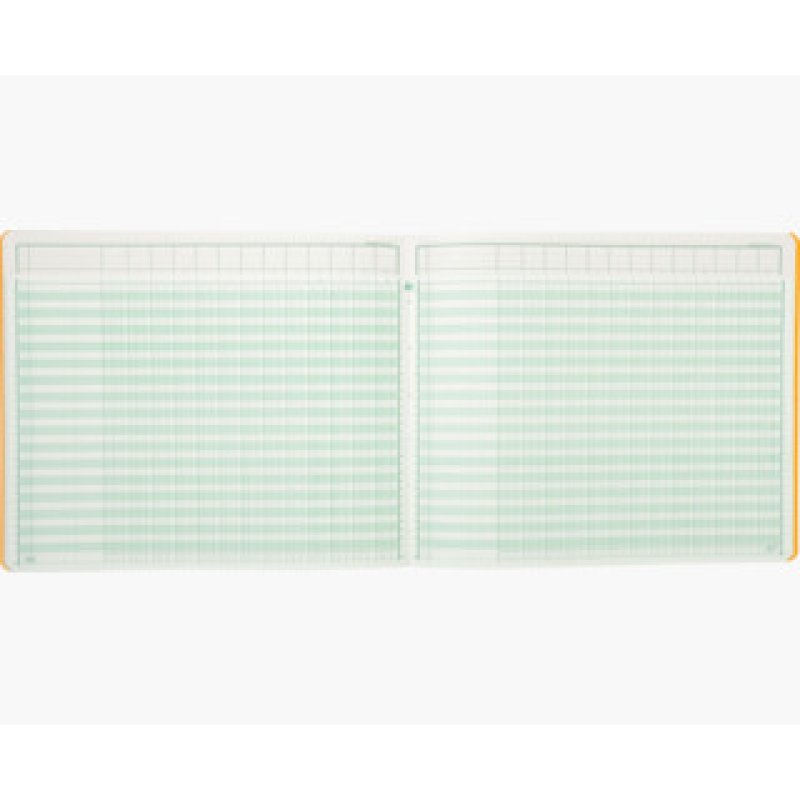 EXACOMPTA Piqûre tête paresseuse, 13 colonnes sur 1 page