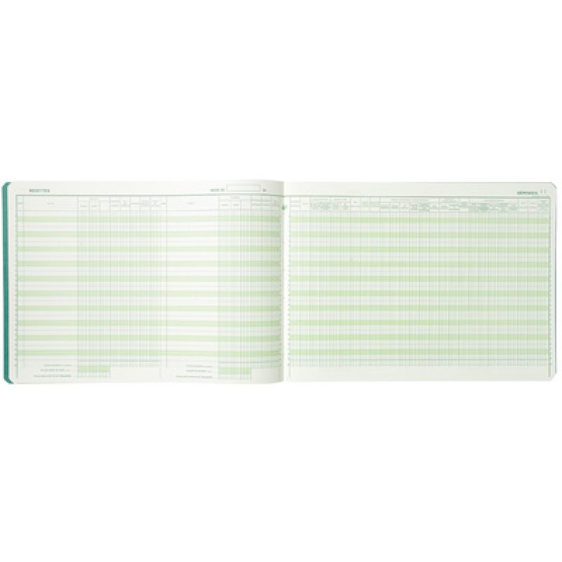 EXACOMPTA Piqûre "Recettes/Dépenses professions libérales"