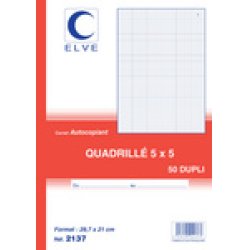 ELVE Manifold quadrillé (5/5), 210 x 297 mm, dupli