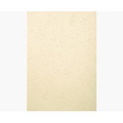 Exacompta 2780C protecteur de feuilles 210 x 297 mm (A4)