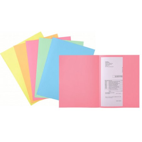 EXACOMPTA Chemise 1 rabat SUPER 160, A4, vert clair