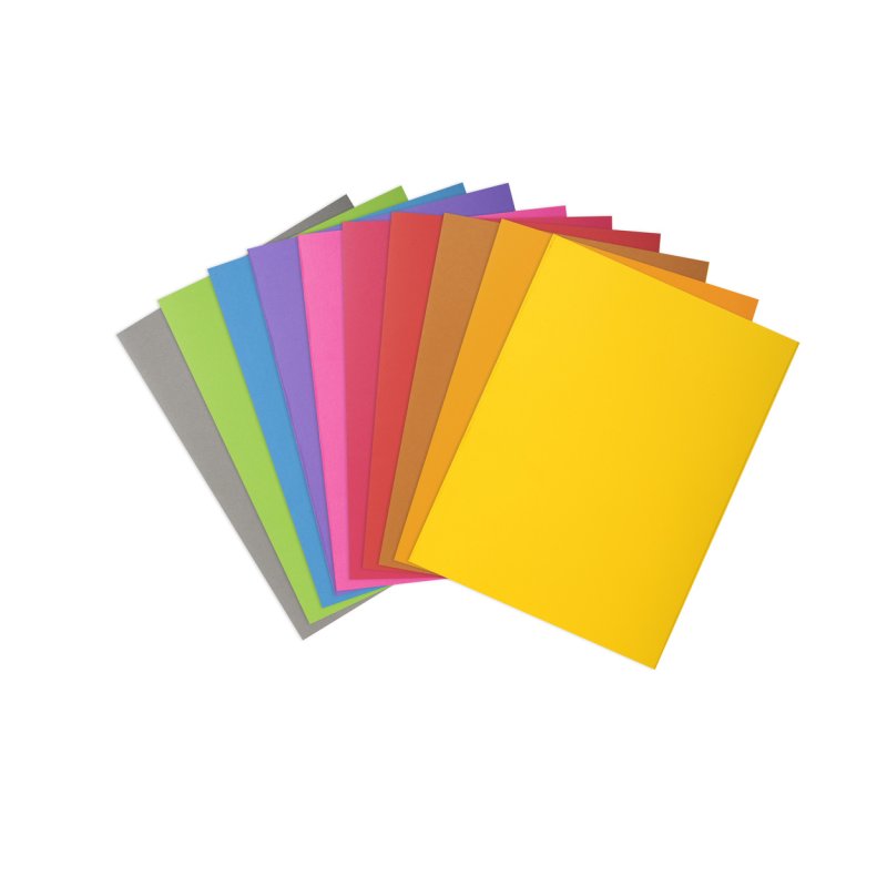 Exacompta 807001E fichier Carton Multicolore A4