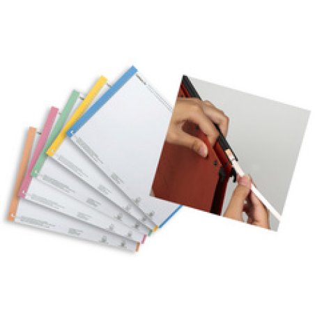 ELBA l'oblique Étiquettes pour dossiers suspendus, Nr. 8