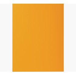 Exacompta 800026E fichier Carton A6