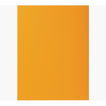 EXACOMPTA Sous-chemises ROCK'S, 220 x 310 mm, ocre